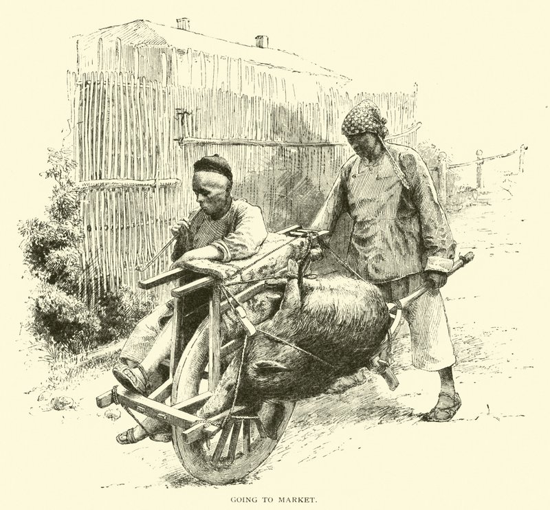Aller au marché - American School