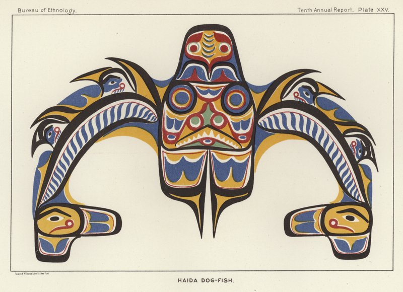 Poisson-chien Haida - American School