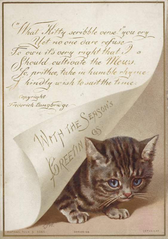 Chaton caché sous une lettre - American School