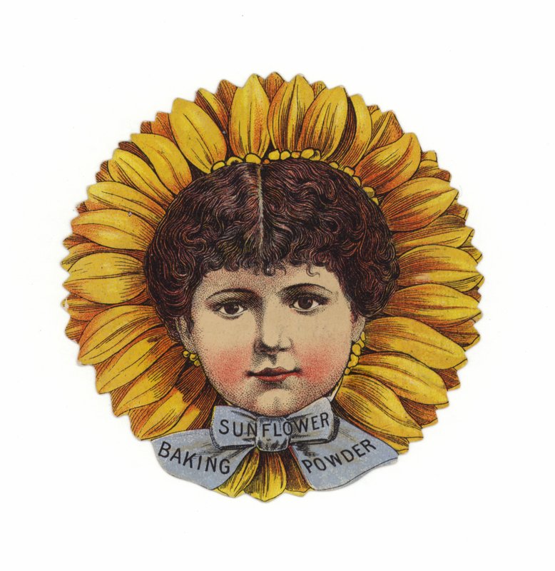Dame portant un chapeau tournesol, tête seulement - American School