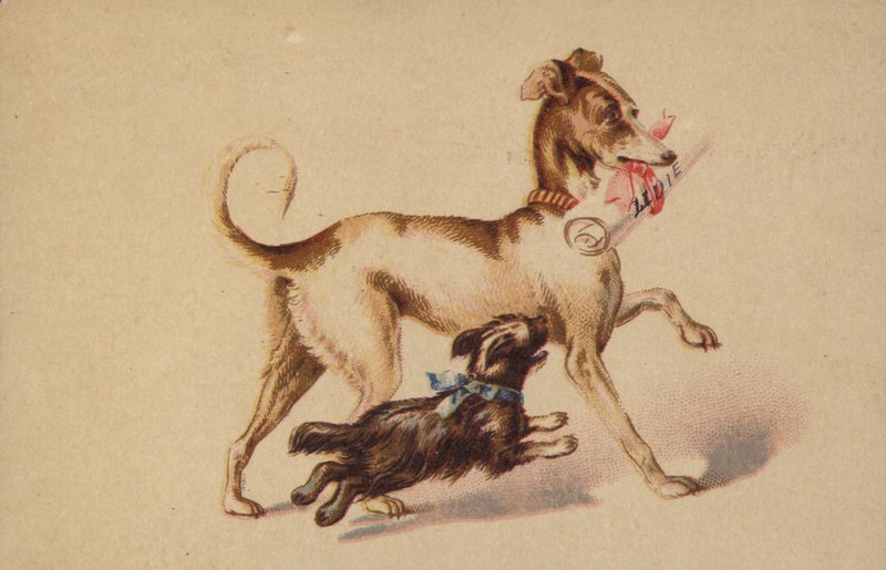 Grand et petit chien courant - American School