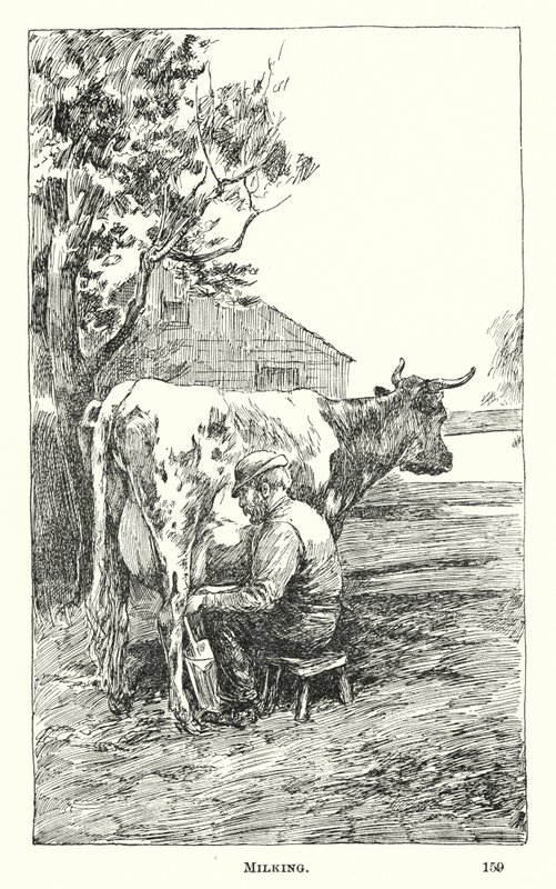 Traite (gravure) - American School