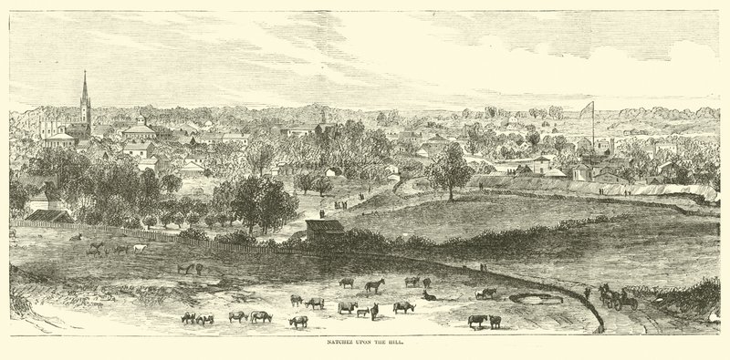 Natchez sur la colline, mai 1862 - American School