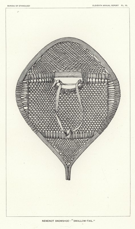 Raquette Nenenot - Queue d