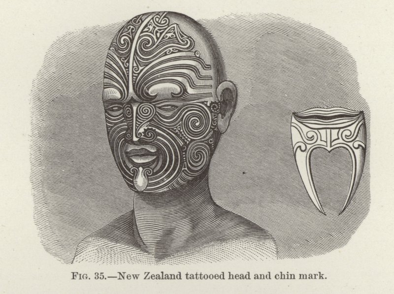 Tête tatouée et marque de menton de Nouvelle-Zélande - American School