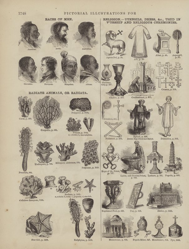 Page du dictionnaire complet de Webster (George Bell) - American School