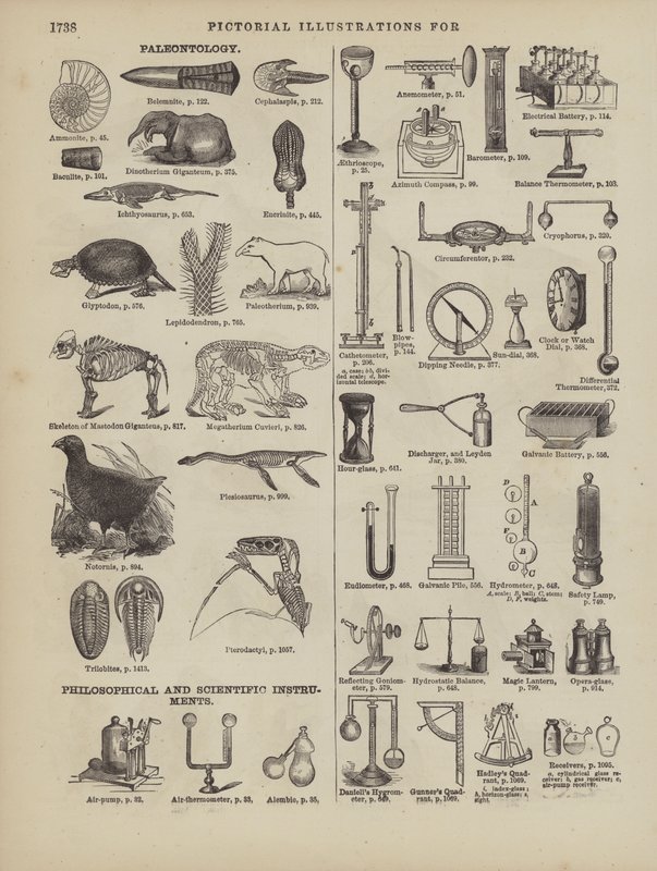 Page du dictionnaire complet de Webster (George Bell) - American School