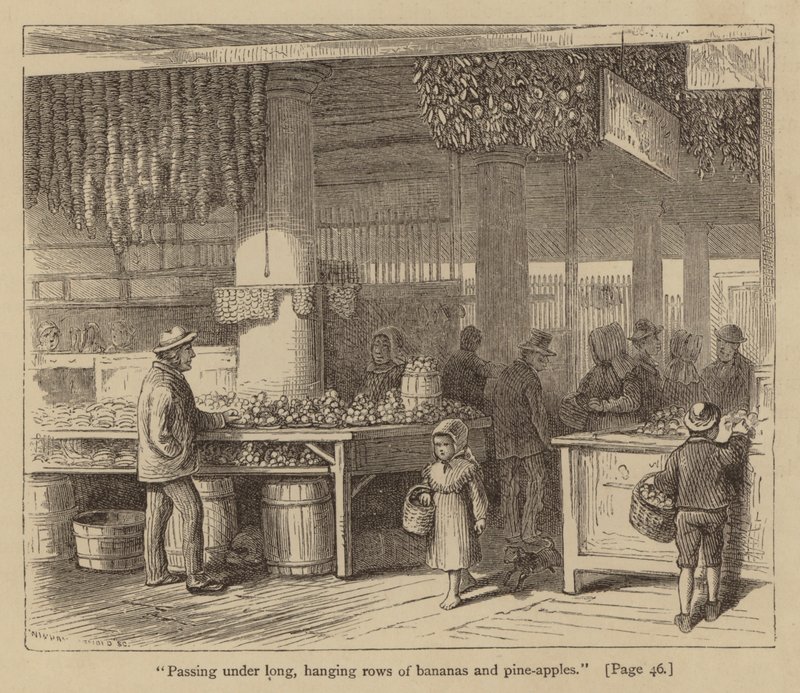 "Passant sous de longues rangées suspendues de bananes et de pommes de pin" (gravure) - American School