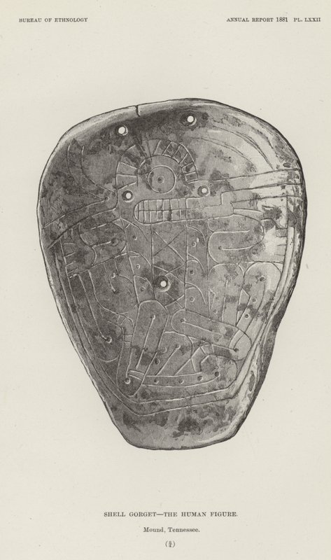 Gorget en coquillage - La figure humaine - American School