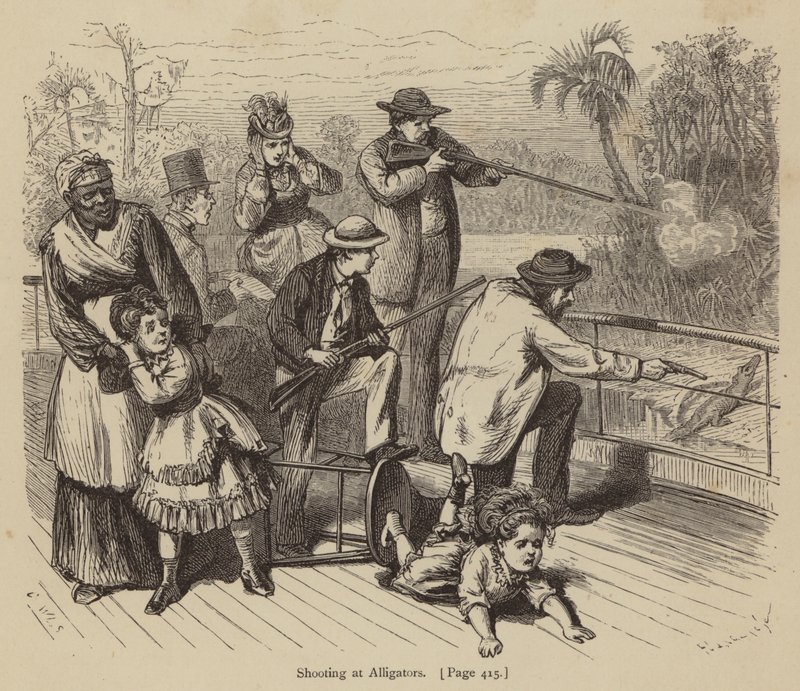Tir sur des alligators - American School