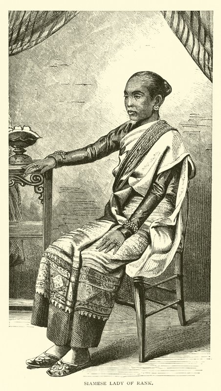 Dame de rang siamoise - American School