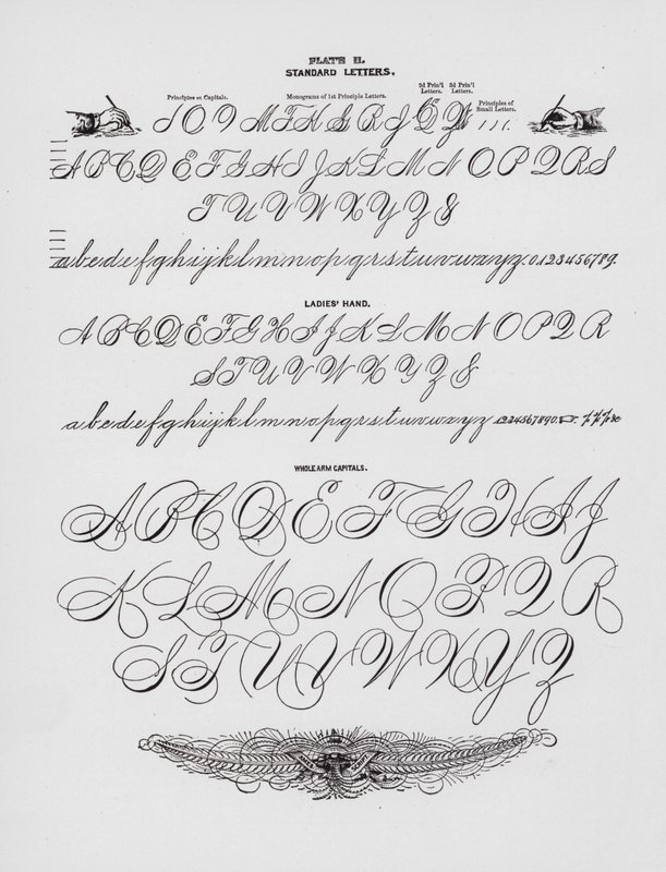 Lettres standard ; Main de dame ; Capitales de bras entier - American School