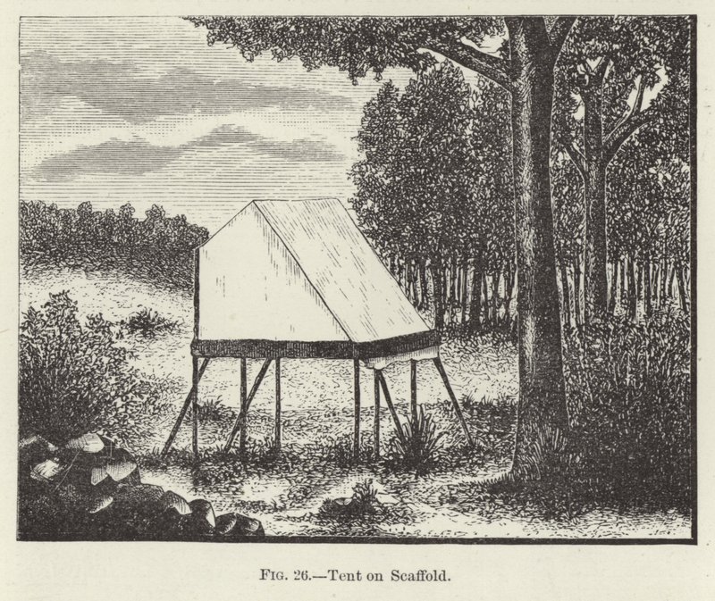 Tente sur échafaud - American School