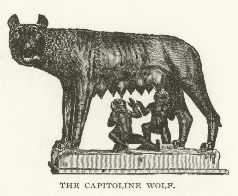 La Louve capitoline - American School