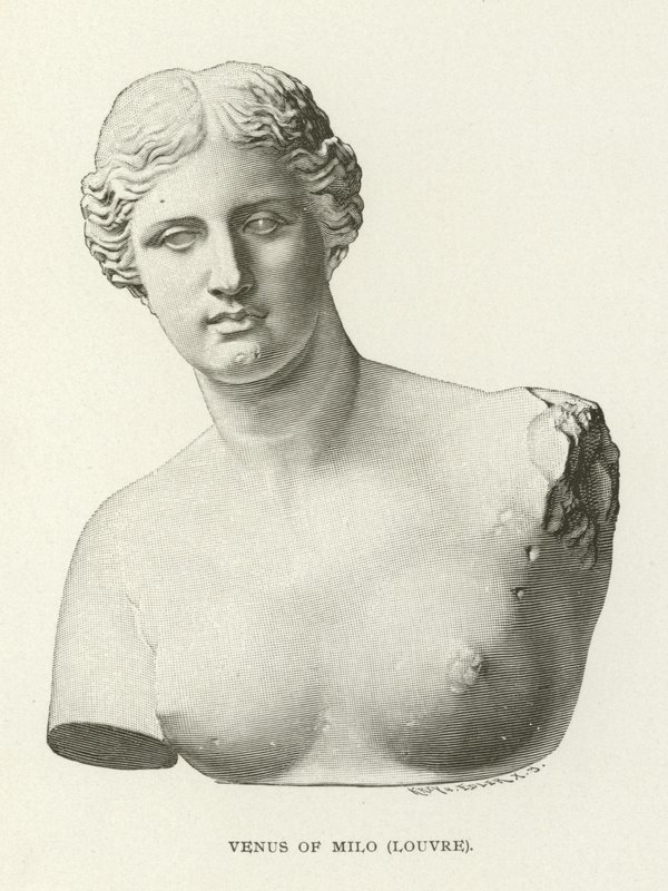 Vénus de Milo, Louvre - American School