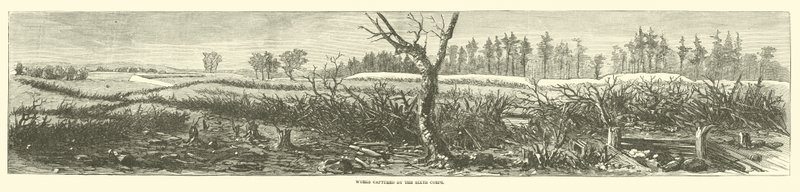 Travaux capturés par le Sixième Corps, avril 1865 - American School