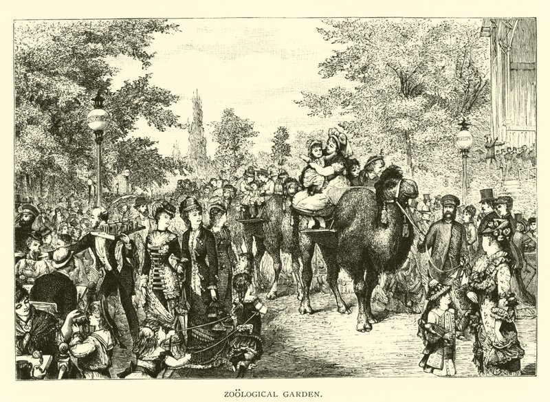 Jardin Zoologique - American School