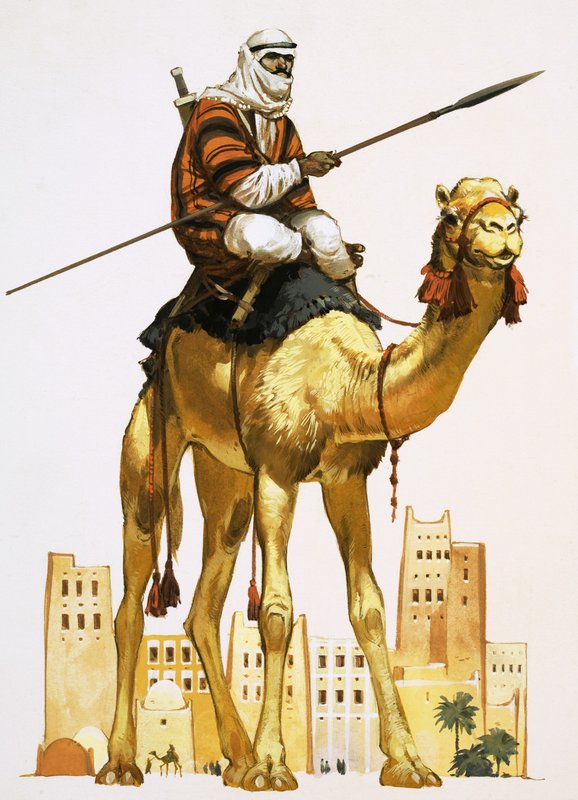 Arabe à dos de chameau - Angus McBride