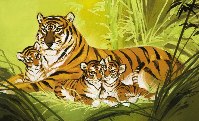 Famille de tigres - Angus McBride
