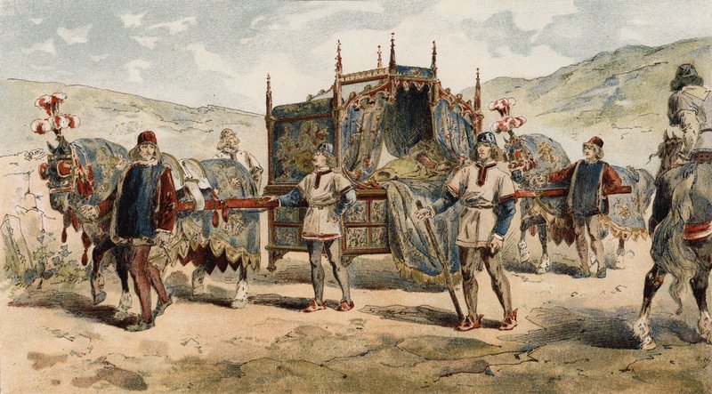 Litière d