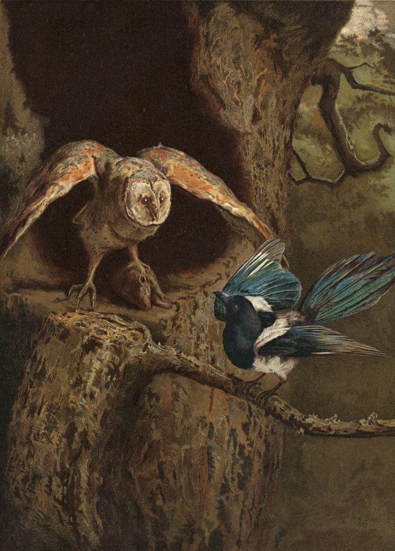 Esprit et Sagesse - Arthur Charles Dodd