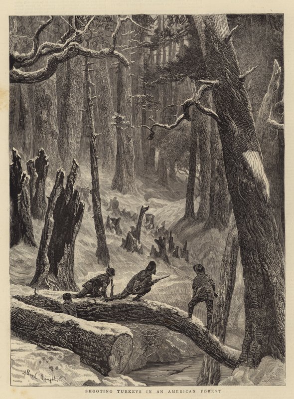 Chasse aux dindons dans une forêt américaine - Arthur Boyd Houghton