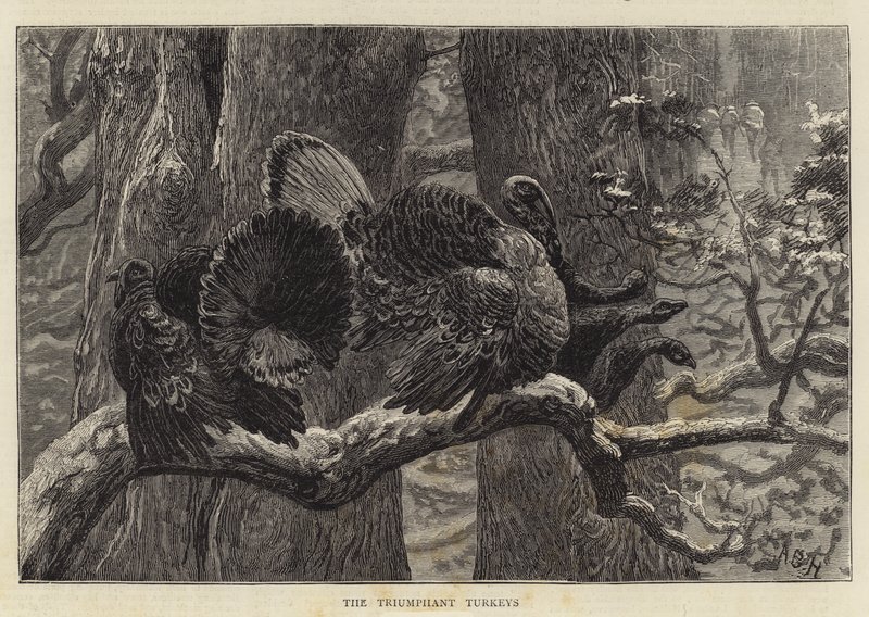 Les Dindons triomphants - Arthur Boyd Houghton
