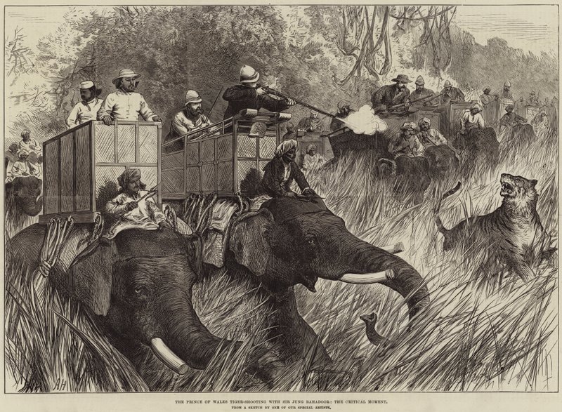 Le prince de Galles chassant le tigre avec Sir Jung Bahadoor, le moment critique - Arthur Hopkins