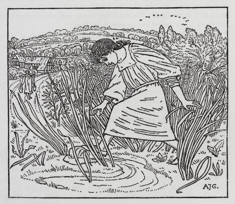 Hans Christian Andersen : La fille qui marcha sur le pain - Arthur Joseph Gaskin