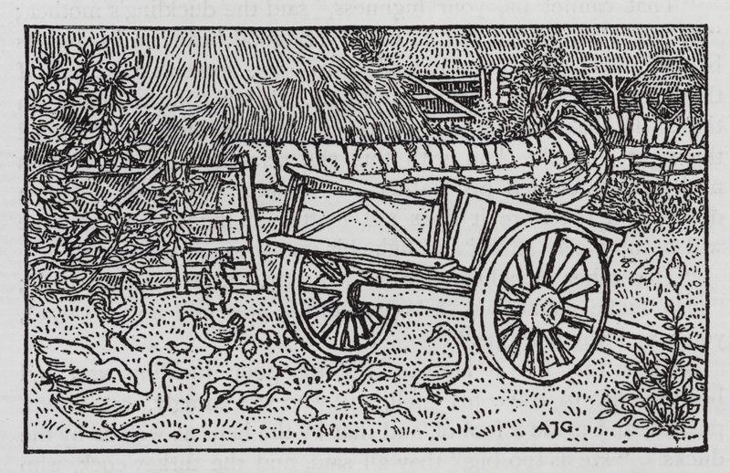 Hans Christian Andersen : Le vilain petit canard - Arthur Joseph Gaskin