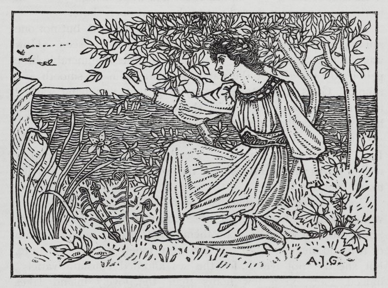 Hans Christian Andersen : Les cygnes sauvages - Arthur Joseph Gaskin