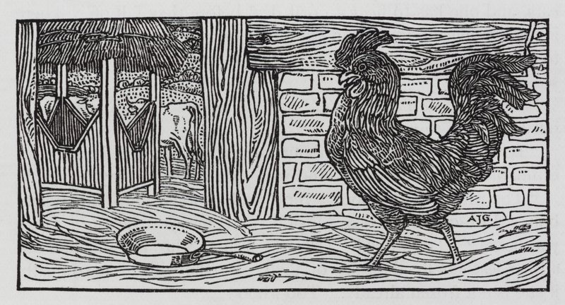 Hans Christian Andersen : "Il n