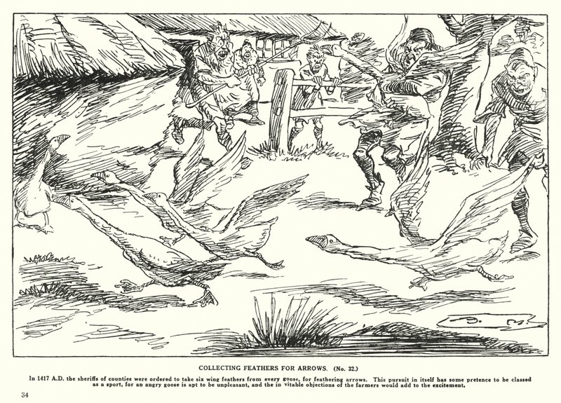 Collecter des plumes pour les flèches - Arthur Moreland