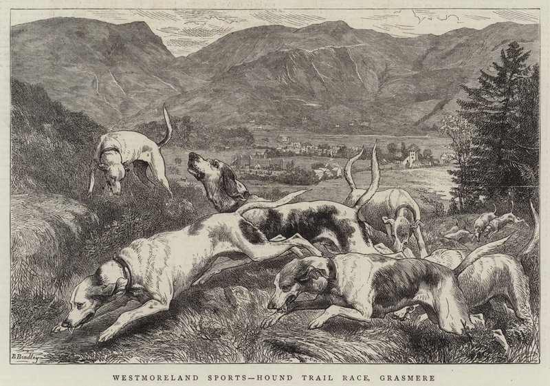 Sports de Westmoreland, course de chiens de chasse, Grasmere - Basil Bradley