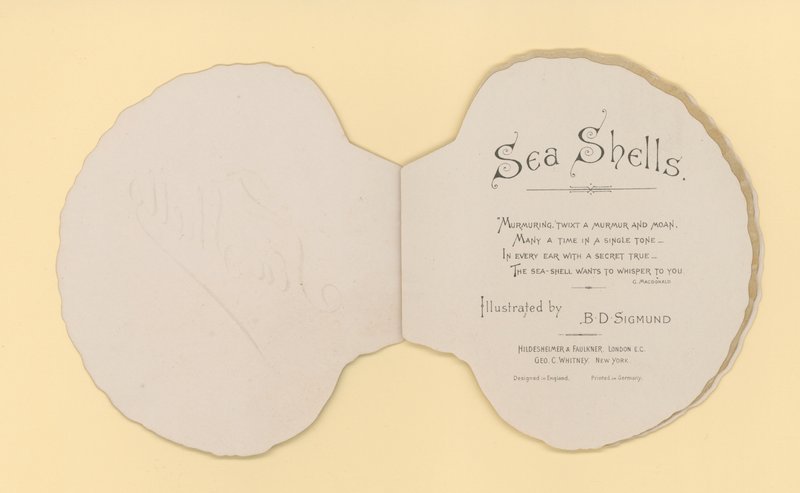Illustration pour un livret intitulé Coquillages de mer - Benjamin D. Sigmund