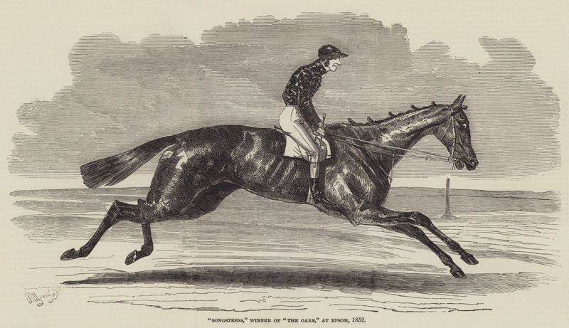 Chanteuse, gagnante des Oaks, à Epsom, 1852 - Benjamin Herring