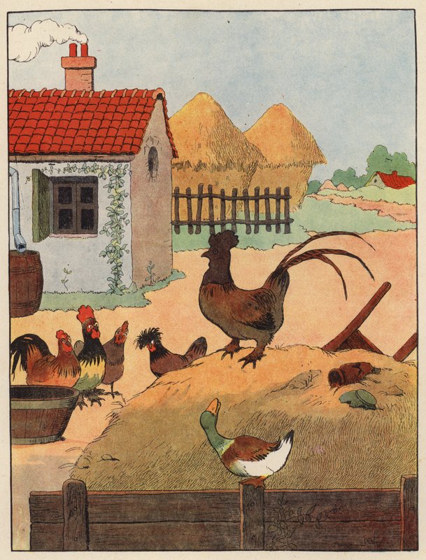 Illustration pour Chantecler de Benjamin Rabier - Benjamin Rabier