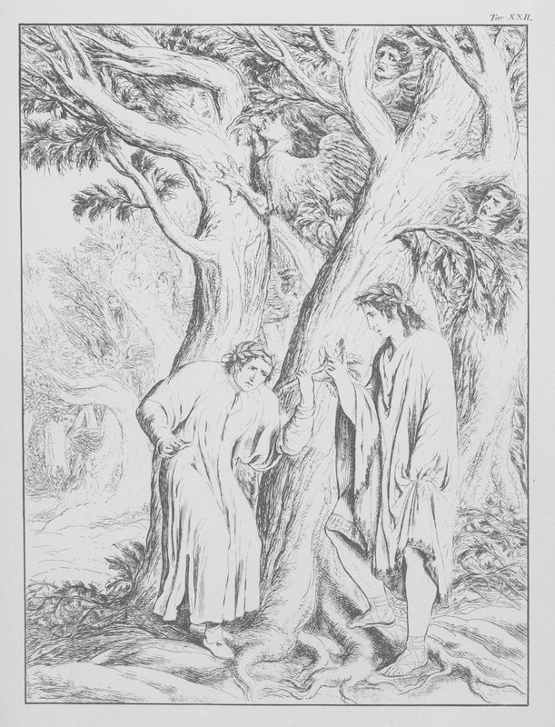 La Divine Comédie de Dante, Enfer, Planche XXII - Bernhard Schuler