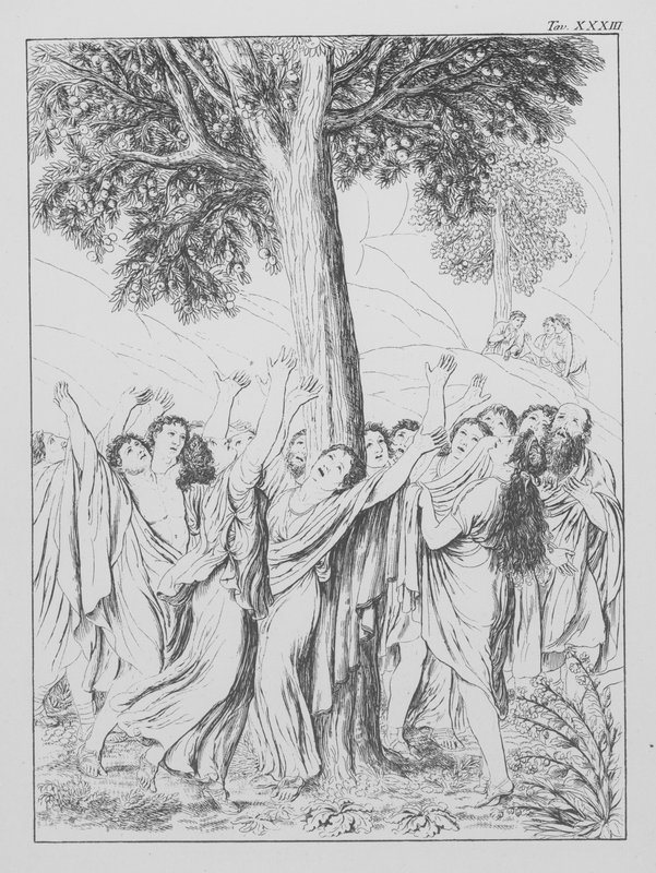 La Divine Comédie de Dante, Purgatorio (Purgatoire), Planche XXXIII - Bernhard Schuler