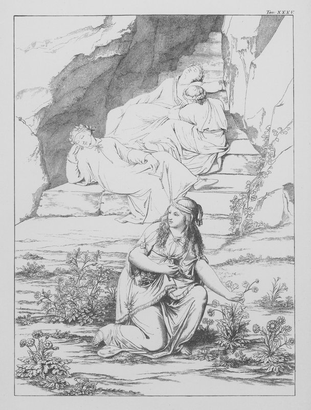 La Divine Comédie de Dante, Purgatorio (Purgatoire), Planche XXXV - Bernhard Schuler