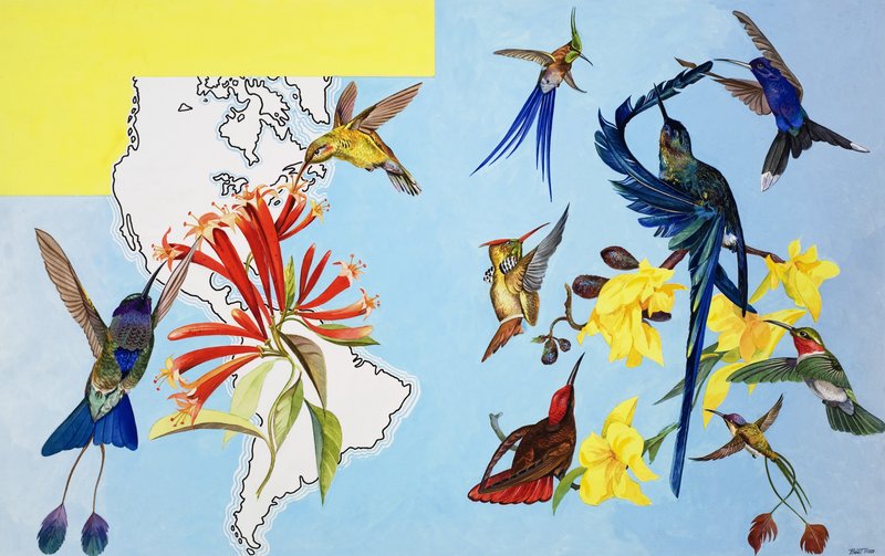 Oiseaux - Bert Illoss