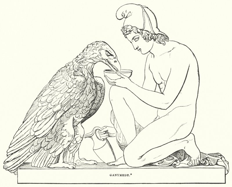 Ganymède - Bertel after Thorvaldsen