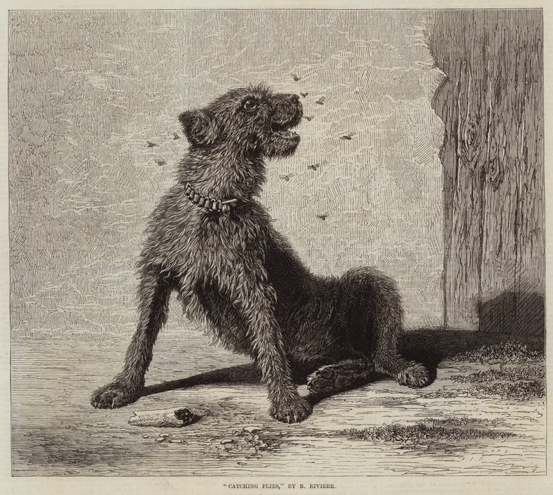 Attraper des mouches - Briton Riviere
