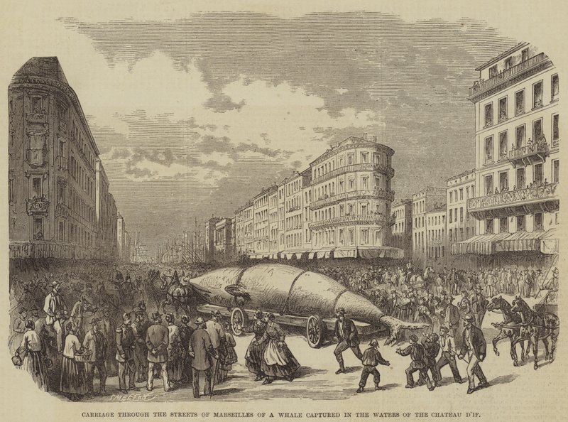 Transport dans les rues de Marseille d