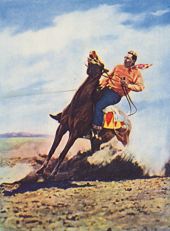 Cow-boy arrêtant rapidement son cheval (photo couleur) - Canadian Photographer