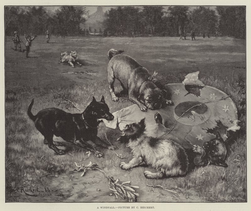 Une aubaine - Carl Reichert