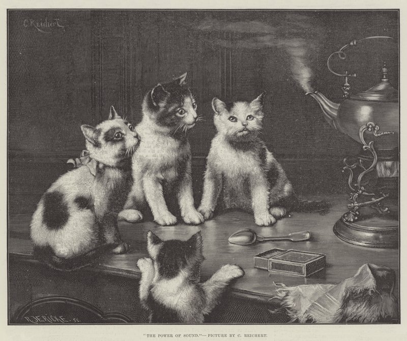 Le pouvoir du son - Carl Reichert