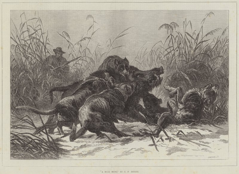 Une Chasse au Sanglier - Carl Friedrich Deiker