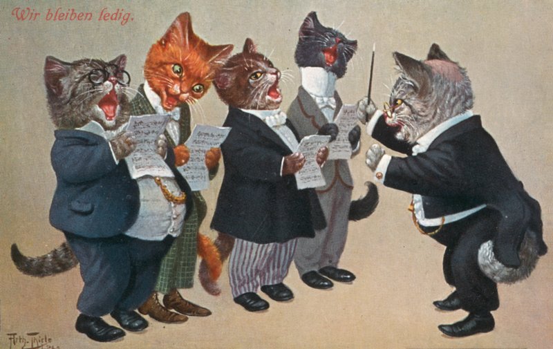 Carte postale humoristique de chat - Carl Robert Arthur Thiele