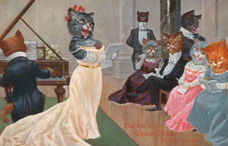 Carte postale humoristique de chat - Carl Robert Arthur Thiele